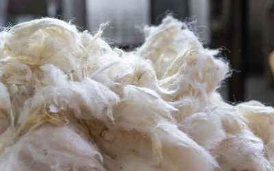 The Very Best New Zealand Wool