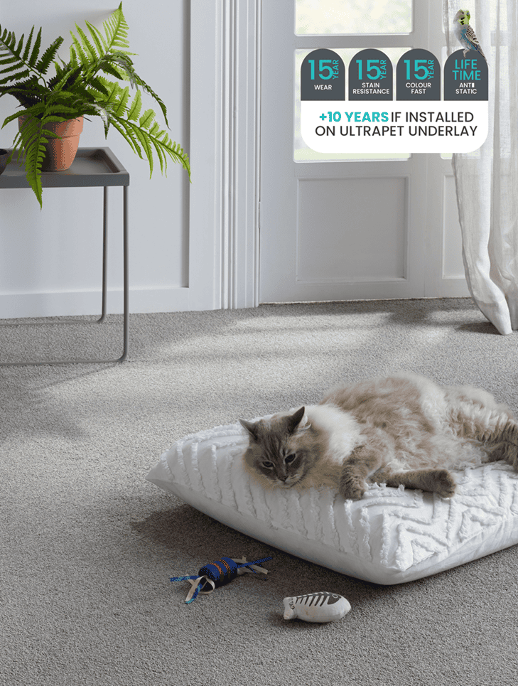 UltraPet Cat Image - Website