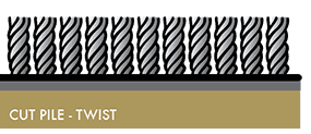 CARPET STYLES VC_Twist4